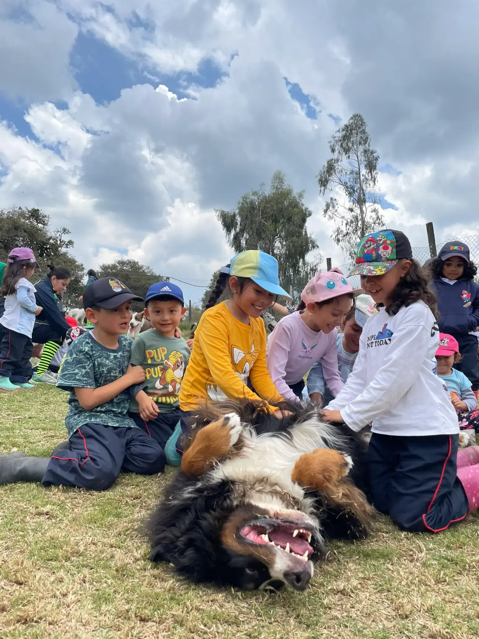 Actividad con animales